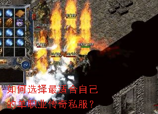 ���ѡ�����ʺ��Լ��ĵ�ְҵ����˽����