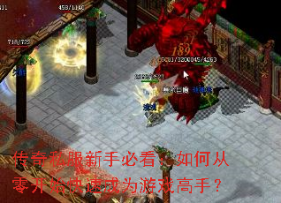 传奇私服新手必看:如何从零开始快速成为游戏高手? 传奇私服新手必看:如何从零开始快速成为游戏高手?