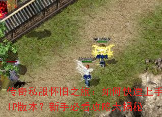 ����˽������֮�ã���ο�������IP�汾�����ֱؿ����Դ����