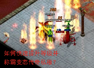 ��ο��������ȼ����ưԱ�̬����˽����