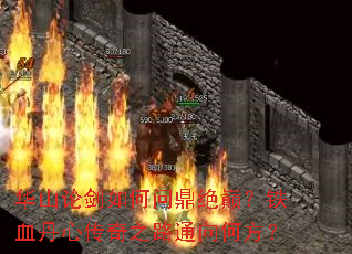 ��ɽ�۽�����ʶ����ۣ���Ѫ���Ĵ���֮·ͨ��η���