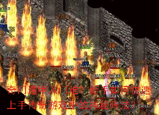 ���Ŷݼ������ѣ�������ο������ִ�����Ϸ�е������󷨣�