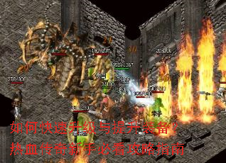 ��ο�������������װ������Ѫ�������ֱؿ�����ָ��