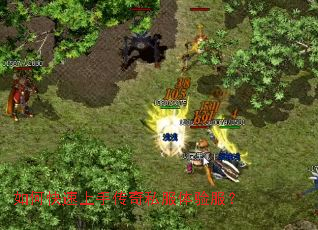 如何快速上手传奇私服体验服? 如何快速上手传奇私服体验服?