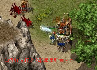 ��δ��쳬��̬˽����ǿ��ɫ��