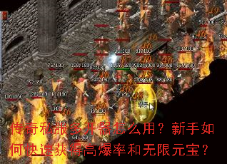 传奇私服多开器怎么用?新手如何快速获得高爆率和无限元宝? 传奇私服多开器怎么用?新手如何快速获得高爆率和无限元宝?