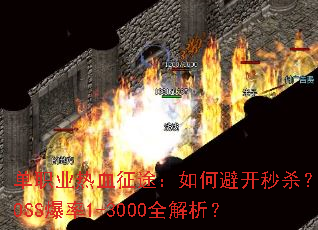 ��ְҵ��Ѫ��;����αܿ���ɱ��BOSS����1-3000ȫ������