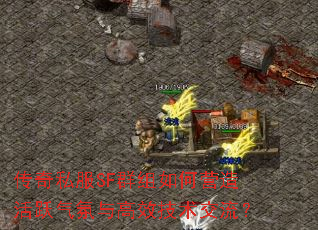 ����˽��SFȺ�����Ӫ���Ծ�������Ч����������