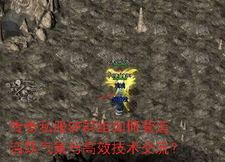 ����˽��SFȺ�����Ӫ���Ծ�������Ч����������