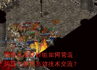 ����˽��SFȺ�����Ӫ���Ծ�������Ч����������