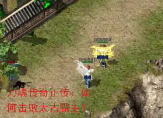 ���괫����������λ���̫�Ű�����