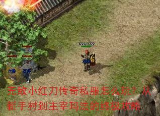 �޵�С�쵶����˽����ô�棿�����ִ嵽�����귨���ռ�����