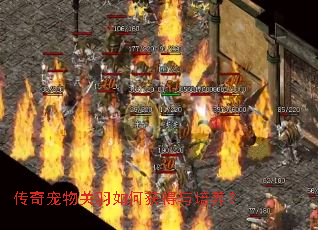 ������������λ����������