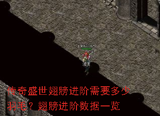 ����ʢ����������Ҫ������ë������������һ��