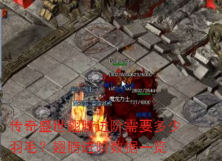 ����ʢ����������Ҫ������ë������������һ��