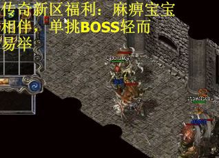 传奇新区福利：麻痹宝宝相伴，单挑BOSS轻而易举
