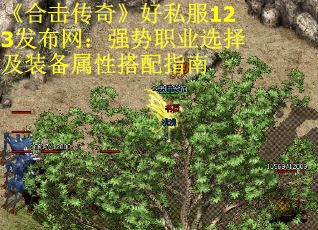 《合击传奇》好私服123发布网：强势职业选择及装备属性搭配指南