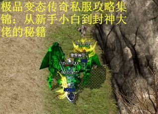 极品变态传奇私服攻略集锦：从新手小白到封神大佬的秘籍
