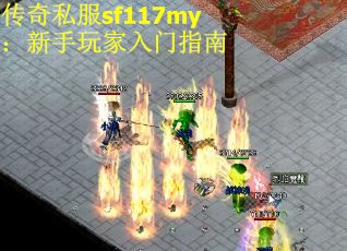 传奇私服sf117my：新手玩家入门指南