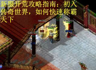 新服开荒攻略指南：初入传奇世界，如何快速称霸天下