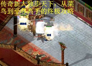 传奇新人独步天下：从菜鸟到至尊高手的终极攻略