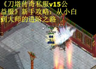 《刀塔传奇私服v15公益服》新手攻略：从小白到大师的进阶之路