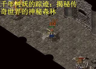 千年树妖的踪迹：揭秘传奇世界的神秘森林