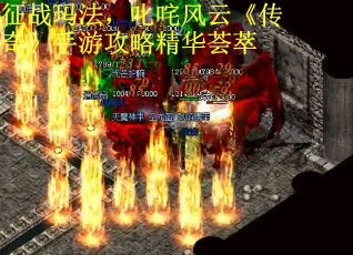 征战玛法，叱咤风云《传奇》手游攻略精华荟萃