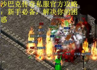 沙巴克传奇私服官方攻略：新手必备，解决你的困惑