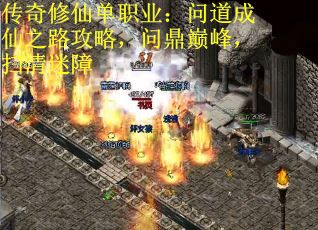 传奇修仙单职业：问道成仙之路攻略，问鼎巅峰，扫清迷障