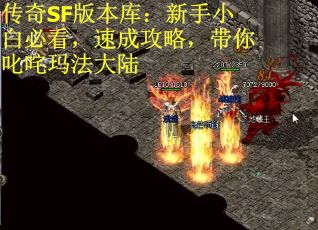 传奇SF版本库：新手小白必看，速成攻略，带你叱咤玛法大陆