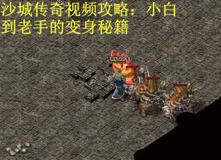 沙城传奇视频攻略：小白到老手的变身秘籍