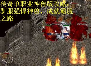 传奇单职业神兽版攻略：驯服强悍神兽，成就霸服之路