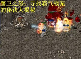 鹰卫之怒:寻找霸气战宠的秘诀大揭秘