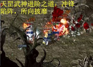 天罡武神进阶之道：冲锋陷阵，所向披靡