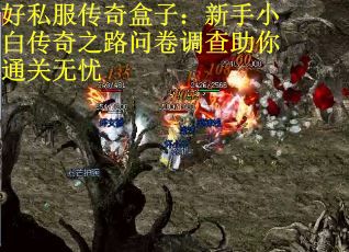好私服传奇盒子：新手小白传奇之路问卷调查助你通关无忧