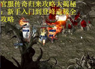 官服传奇归来攻略大揭秘：新手入门到登峰造极全攻略