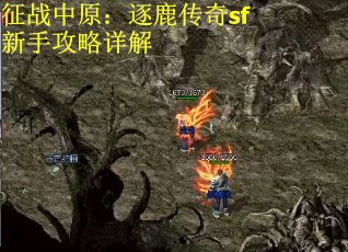 征战中原：逐鹿传奇sf新手攻略详解