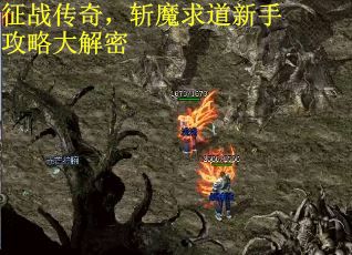 征战传奇，斩魔求道新手攻略大解密