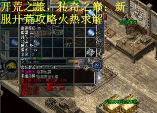开荒之旅，传奇之巅：新服开荒攻略火热求解