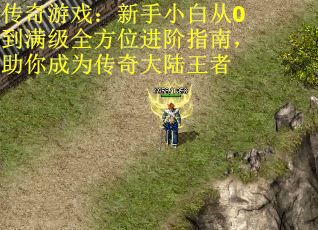 传奇游戏：新手小白从0到满级全方位进阶指南，助你成为传奇大陆王者