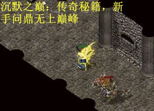 沉默之巅：传奇秘籍，新手问鼎无上巅峰