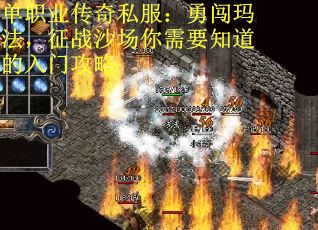 单职业传奇私服：勇闯玛法，征战沙场你需要知道的入门攻略