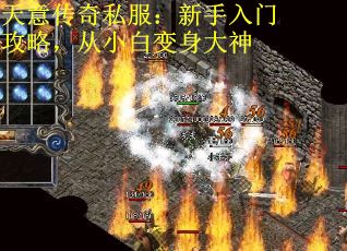 天意传奇私服：新手入门攻略，从小白变身大神