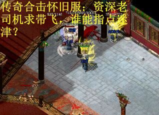 传奇合击怀旧服：资深老司机求带飞，谁能指点迷津？