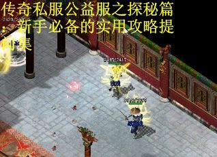 传奇私服公益服之探秘篇：新手必备的实用攻略提问集