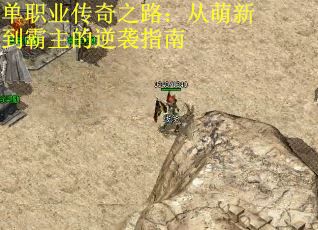单职业传奇之路：从萌新到霸主的逆袭指南