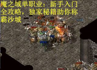 魔之域单职业：新手入门全攻略，独家秘籍助你称霸沙城
