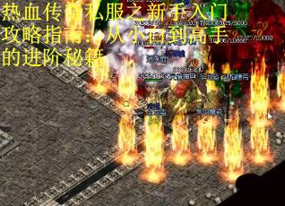 热血传奇私服之新手入门攻略指南：从小白到高手的进阶秘籍