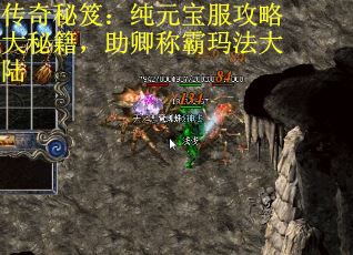 传奇秘笈：纯元宝服攻略大秘籍，助卿称霸玛法大陆